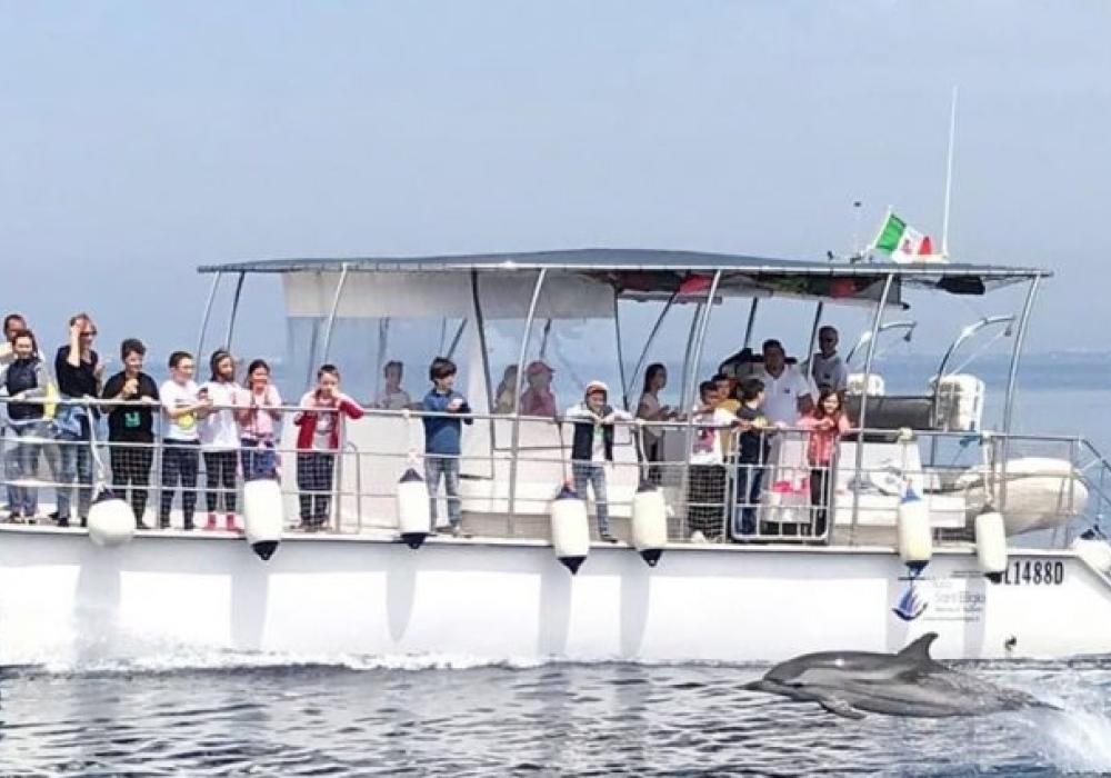 Jonian Dolphin Conservation - Taranto