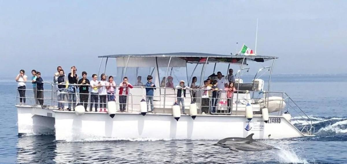 Jonian Dolphin Conservation - Taranto