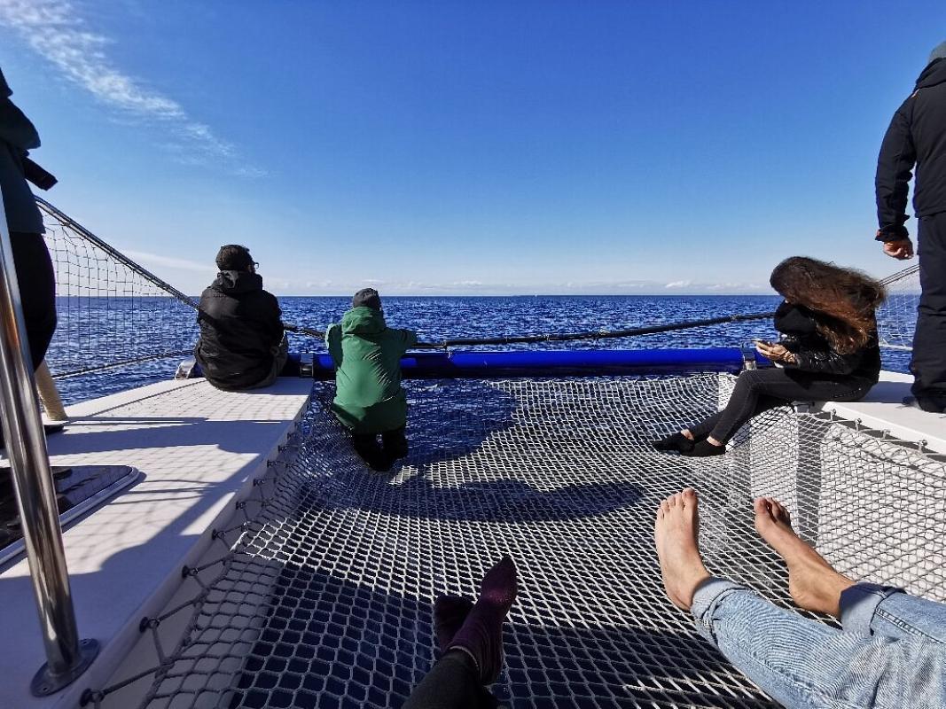 Ketós - Centro euromediterraneo del mare e dei cetacei
