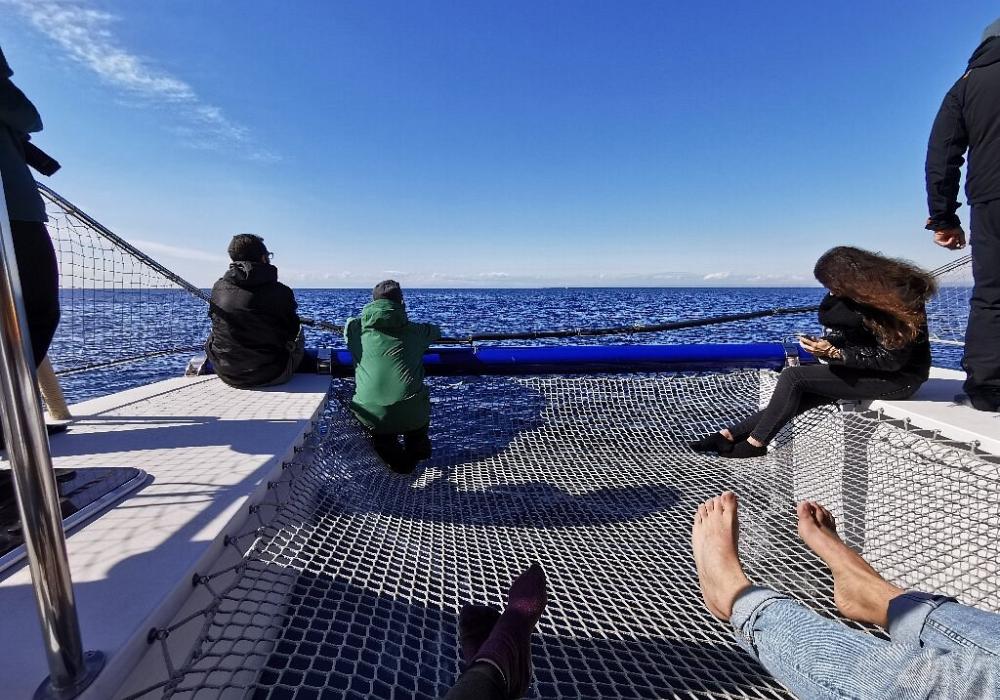 Ketós - Centro euromediterraneo del mare e dei cetacei
