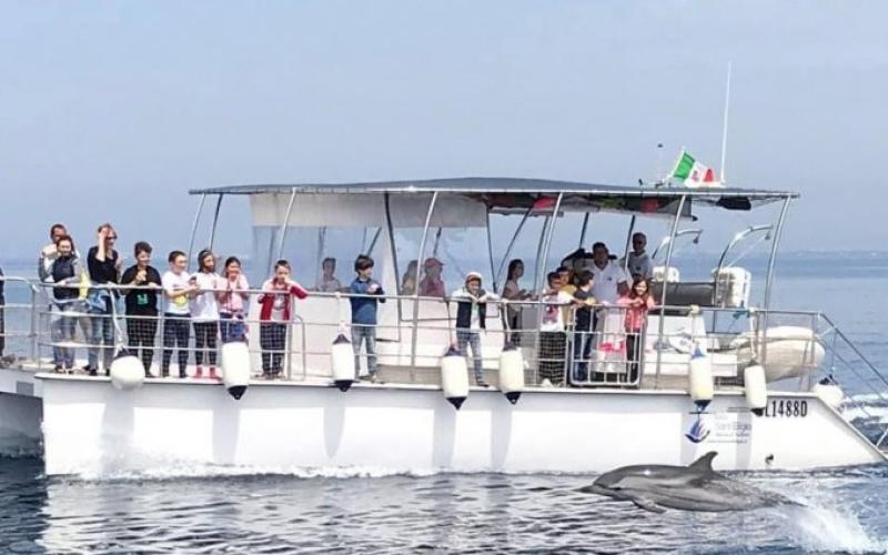 Jonian Dolphin Conservation - Taranto
