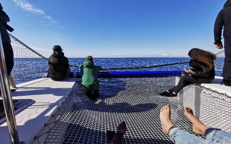 Ketós - Centro euromediterraneo del mare e dei cetacei