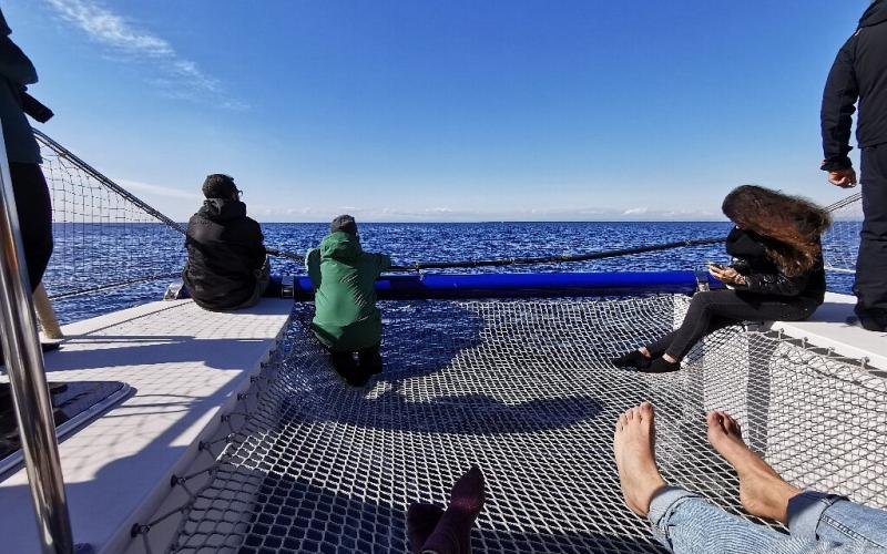 Ketós - Centro euromediterraneo del mare e dei cetacei